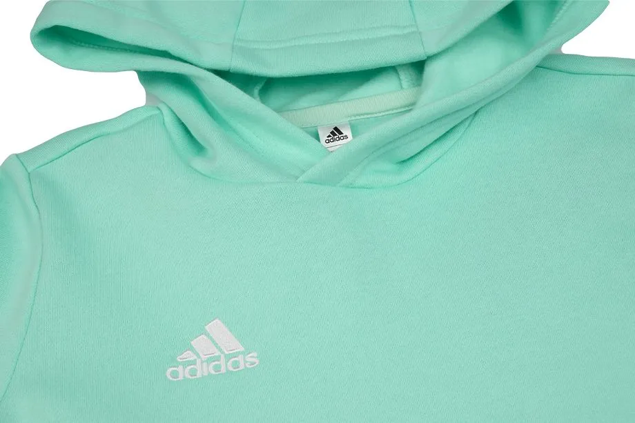 adidas Kinder Kapuzenpullover Entrada 22 Hoody HC5066